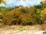Playa La Chiva - VIEQUES